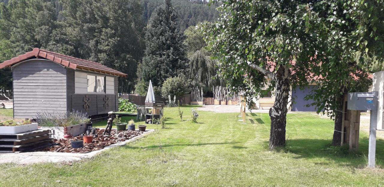Gites, Les Jonquilles, Le Sagard Et Bungalow Les Brimbelles, Nature Et Detente La Houssiere Dış mekan fotoğraf